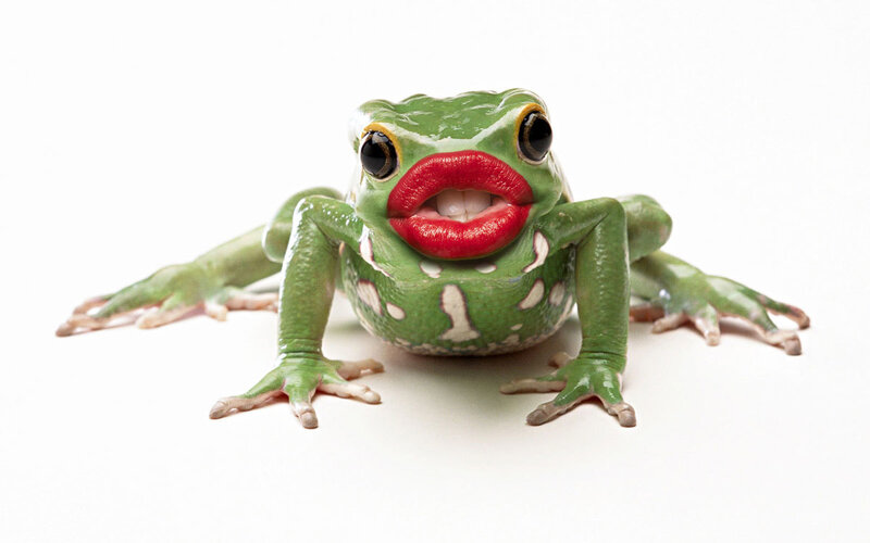 Green Frog with Red Lips