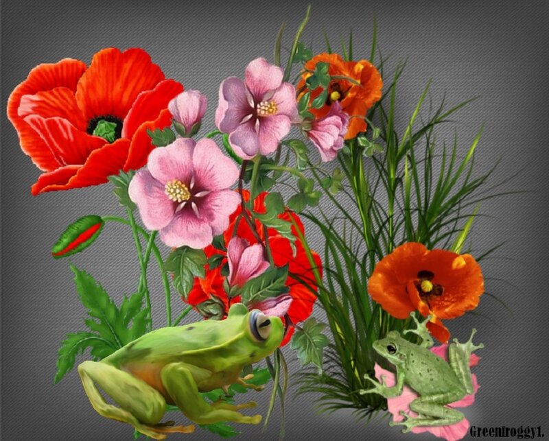 Green Frogs and Flowers