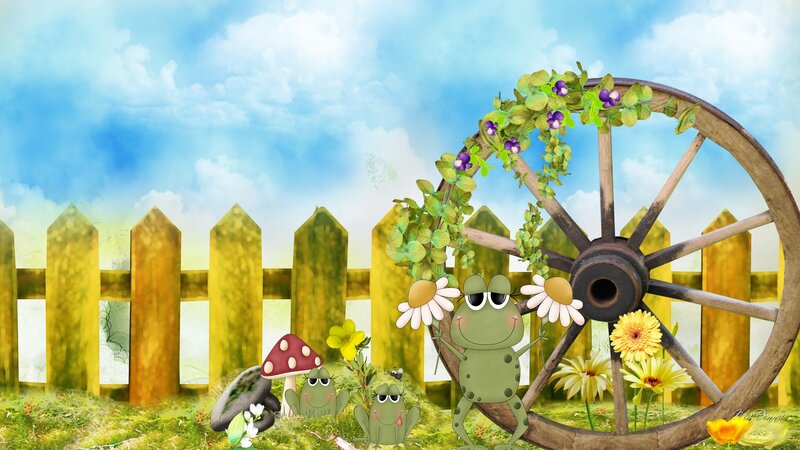 Green Frogs in Garden