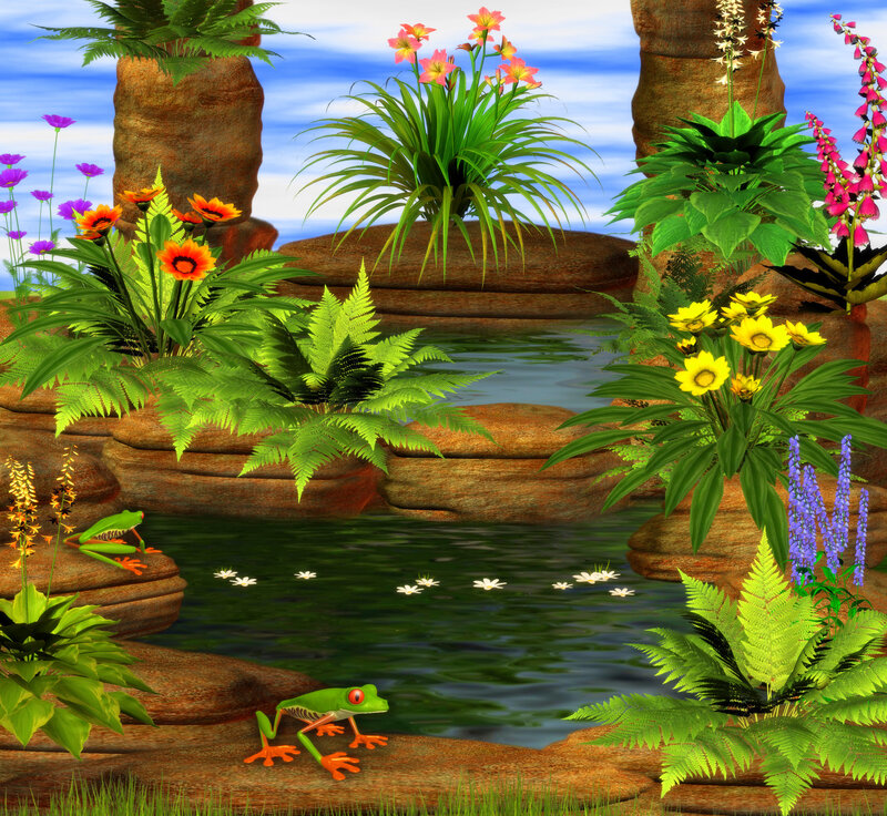 Green Frogs in Pond — Serene