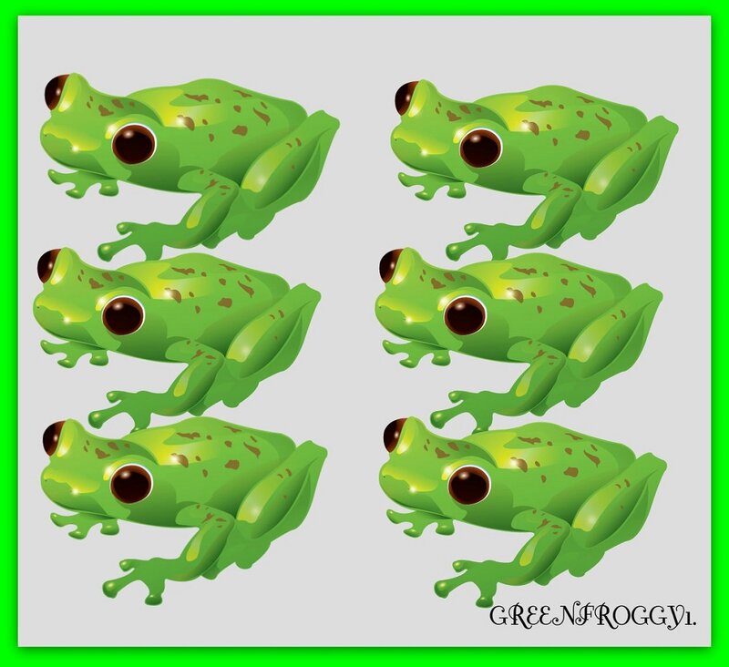 Green Frogs in Rows