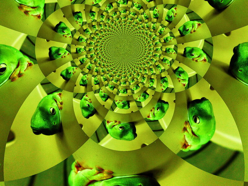 Green Frogs in Spiral — Hypnotic