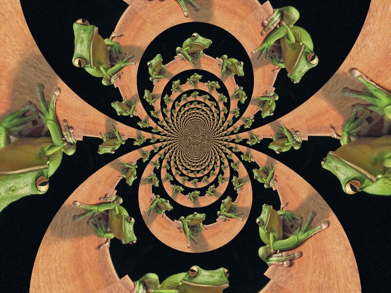 Green Frogs in Spiral