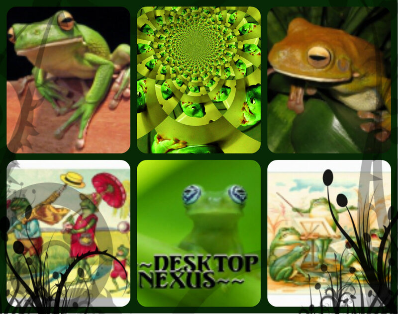 Green Frogs in Various Scenes
