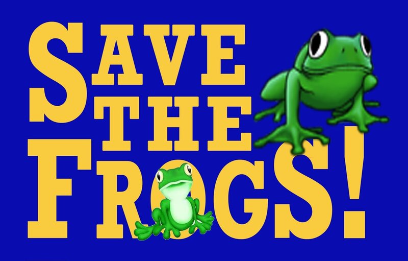 Green Frogs on Blue