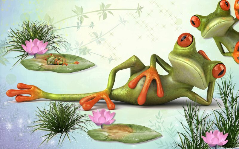 Green Frogs on Lily Pads — Playful