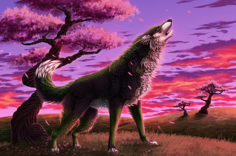 Green-furred Wolf Howling — Purple, Dramatic, Sunset, Digital Art, Cherry Blossom Tree