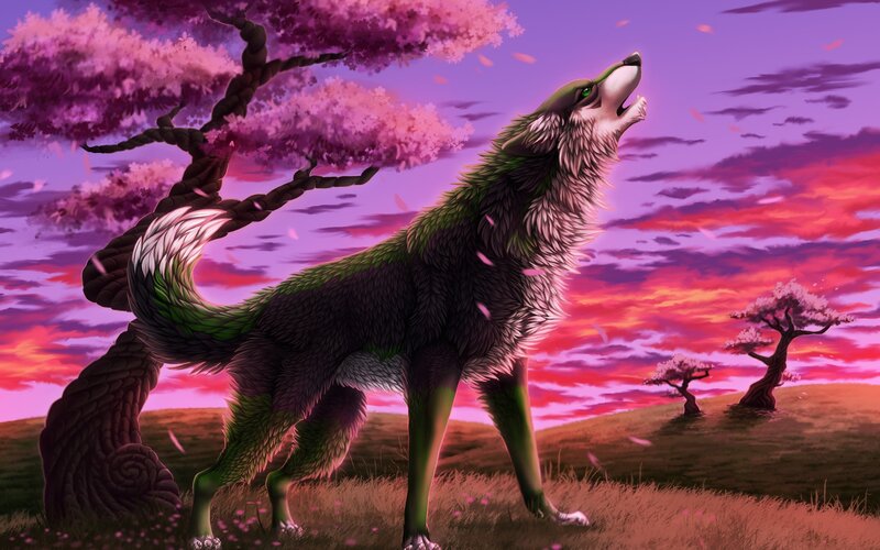 Green-furred Wolf Howling — Purple, Dramatic, Sunset