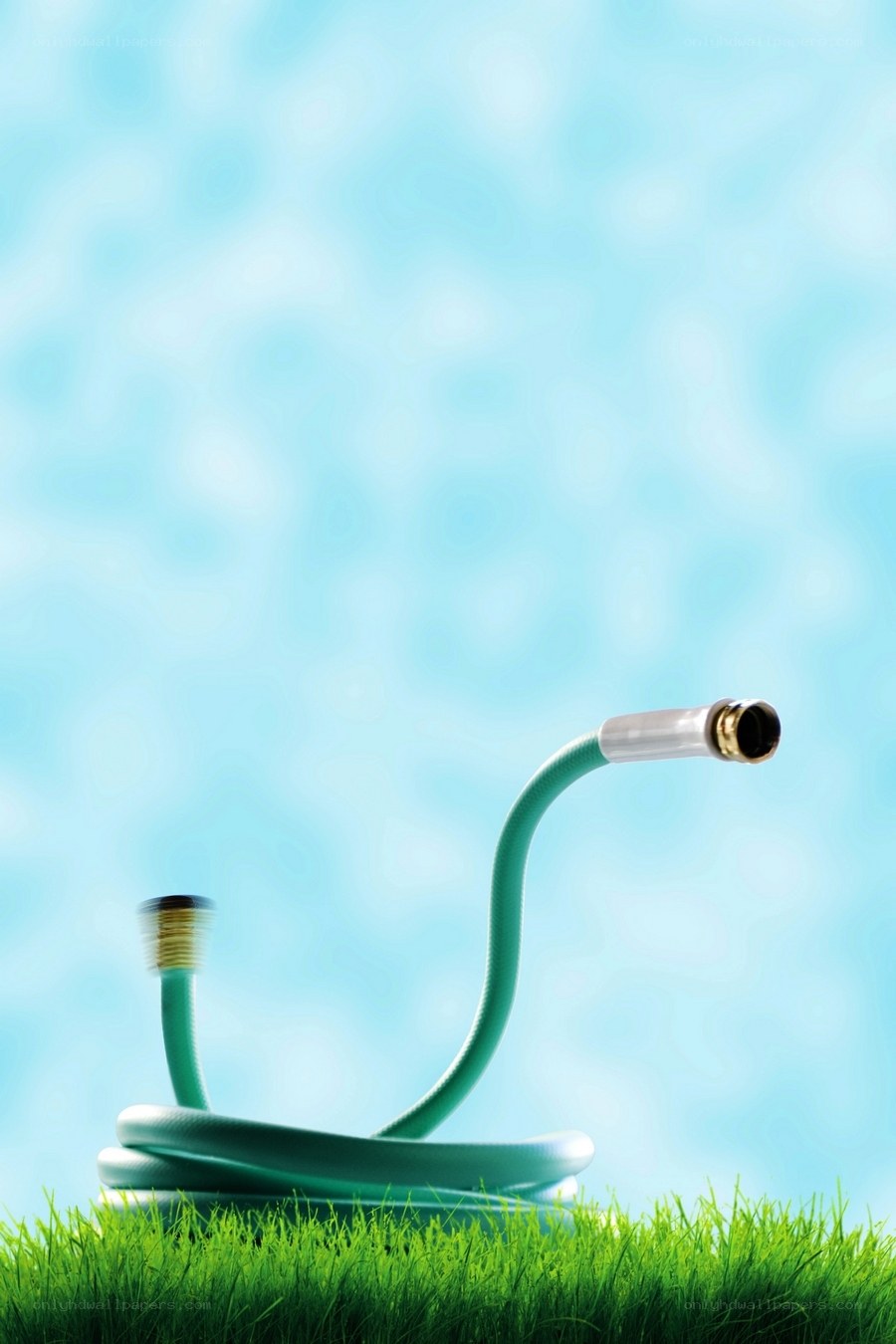Green garden hose on grass