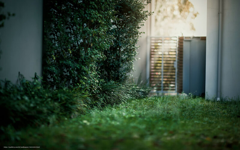 Green garden path