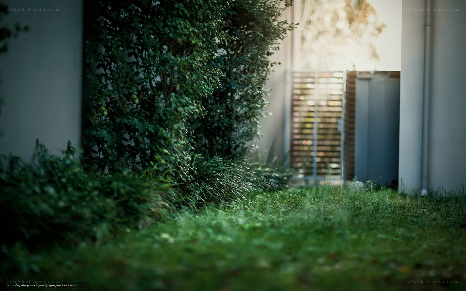 Green garden path