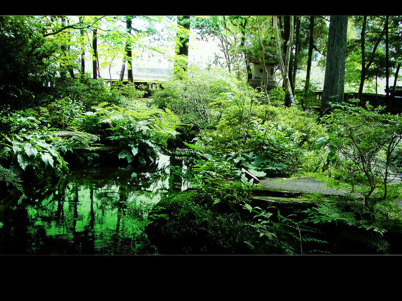 Green Garden Pond