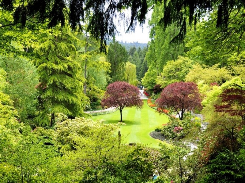 Green Garden with Trees