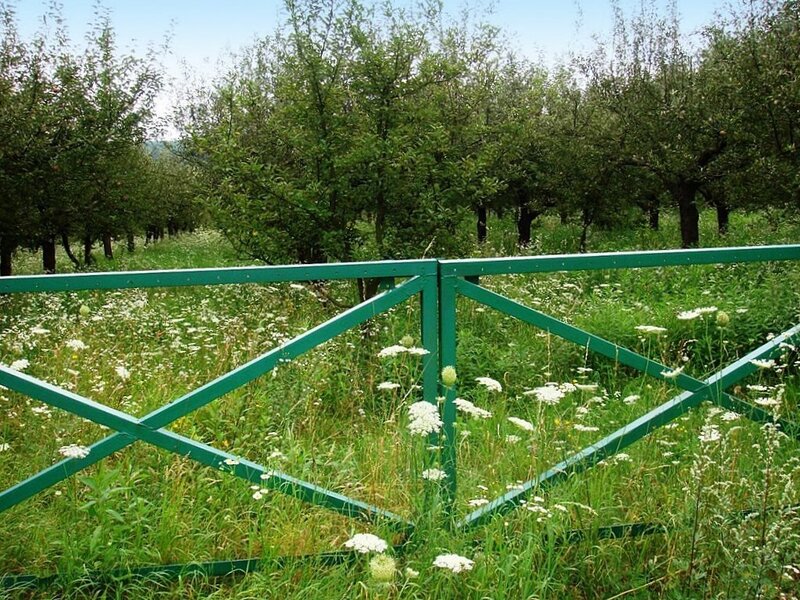 Green Gate in Orchard