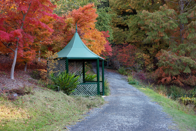 Green Gazebo in Autumn