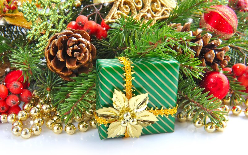 Green Gift Box with Pine — Festive