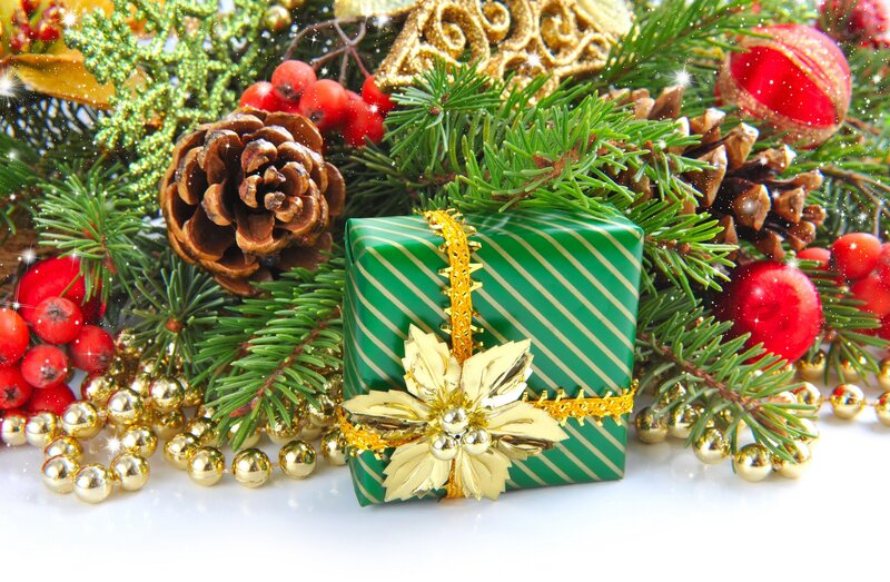 Green Gift Box with Pine — Festive, Winter