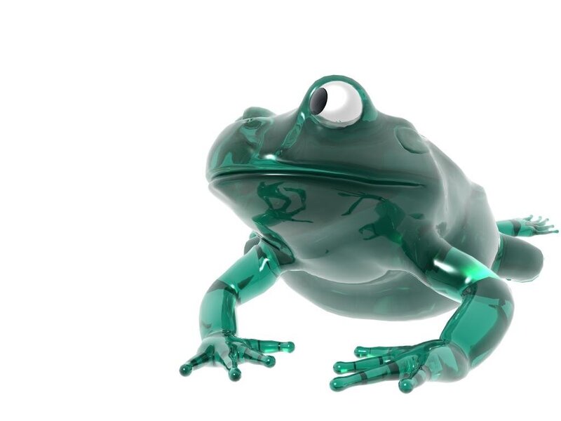 Green Glass Frog
