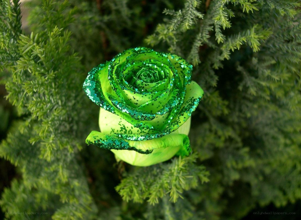 green glitter rose