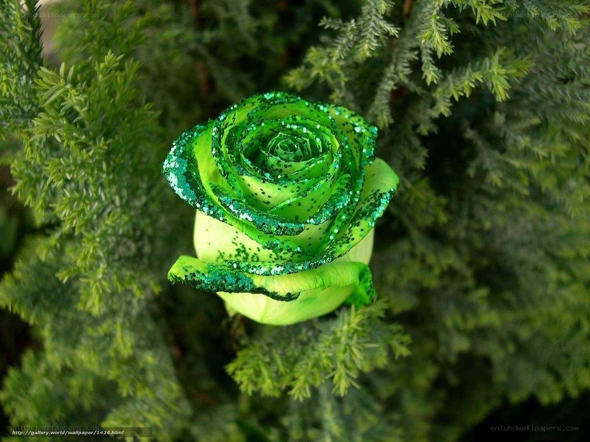 green glitter rose