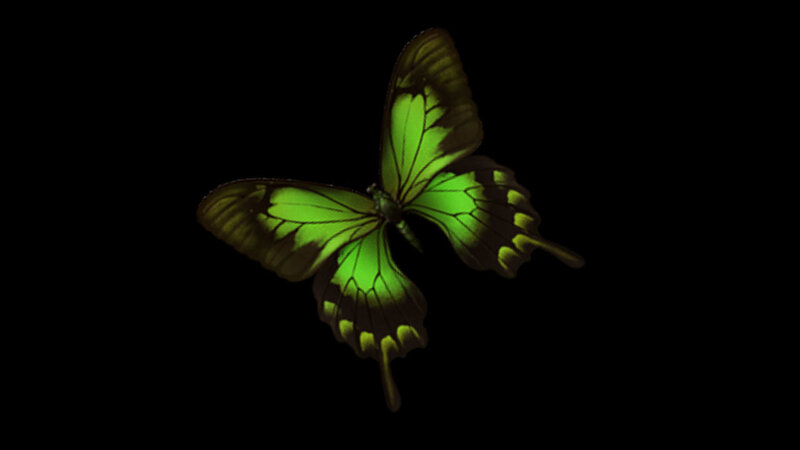 Green Glowing Butterfly — Dramatic, Digital Art