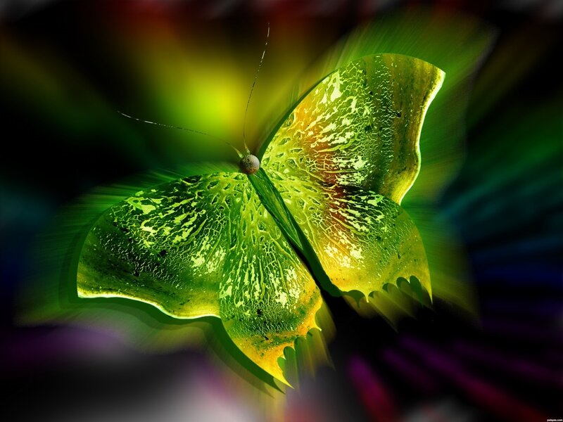 Green Glowing Butterfly