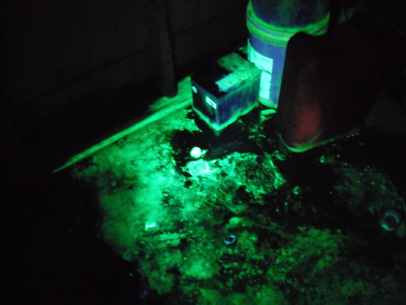 green glowing objects in dark