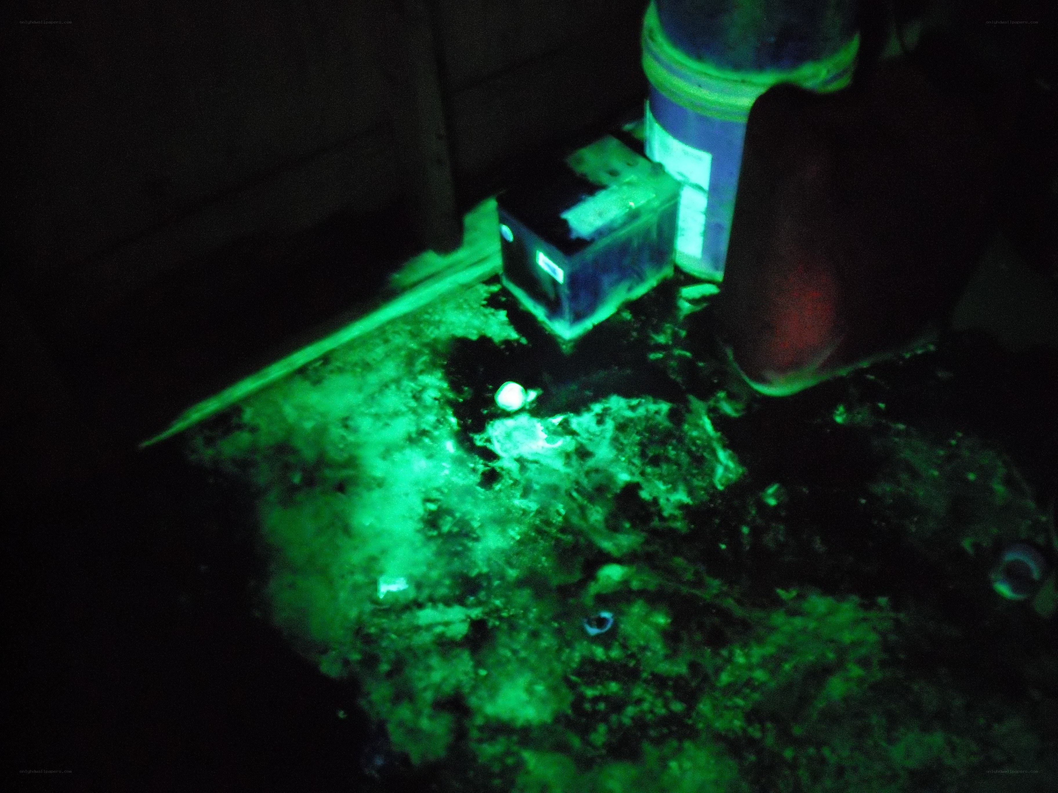green glowing objects in dark