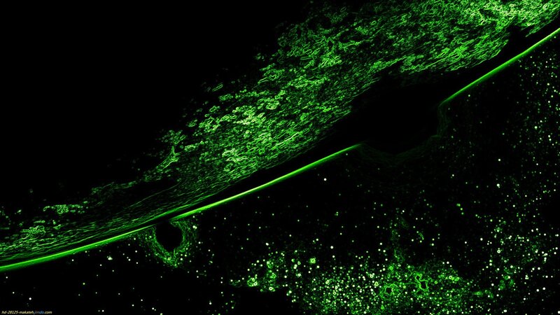 Green Glowing Particles — Abstract
