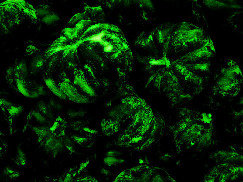 green glowing pumpkins