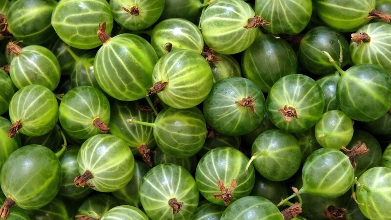 green gooseberries in a pile