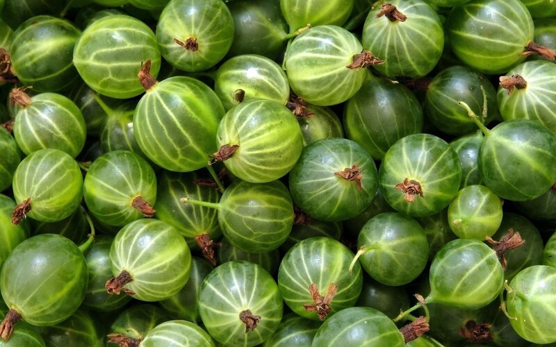 Green Gooseberries