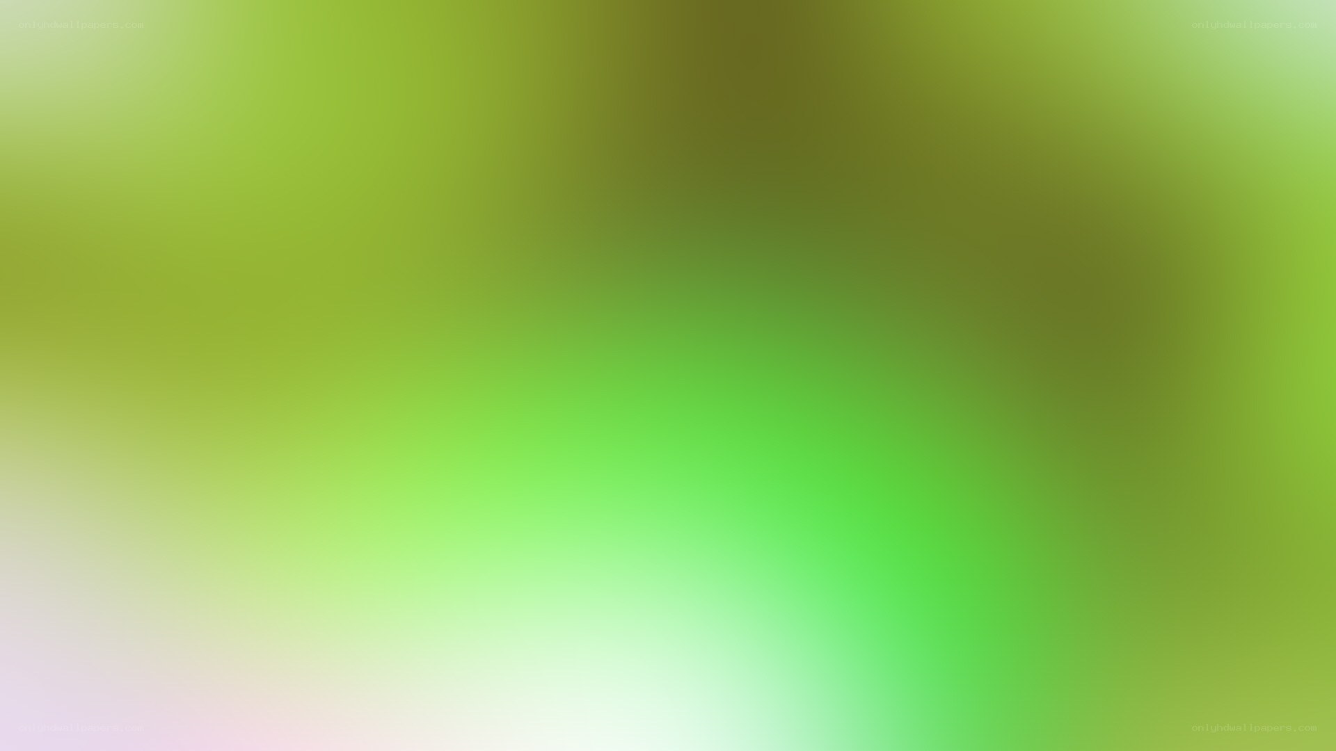 green gradient background