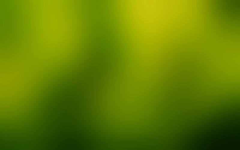 green gradient background