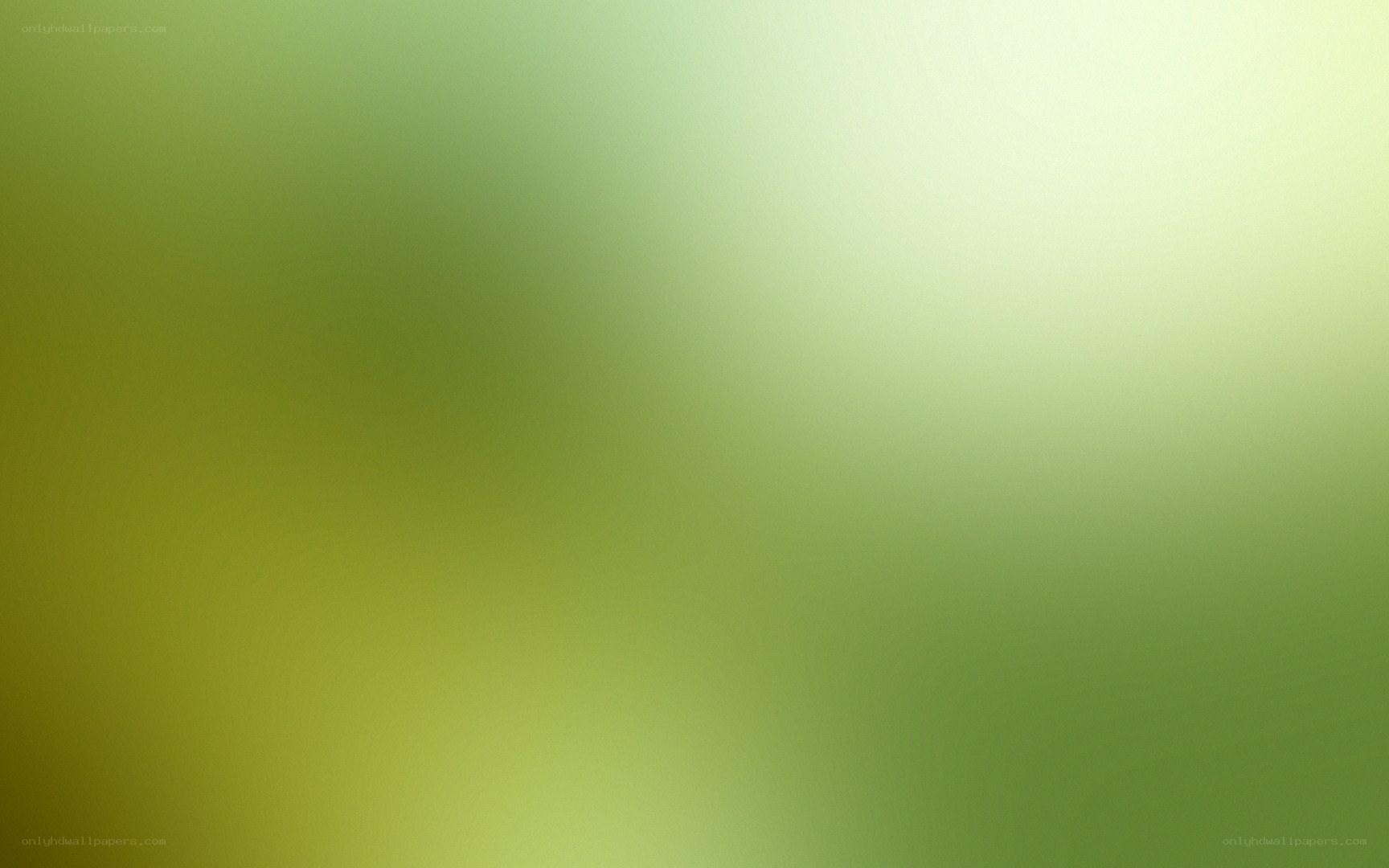 green gradient background