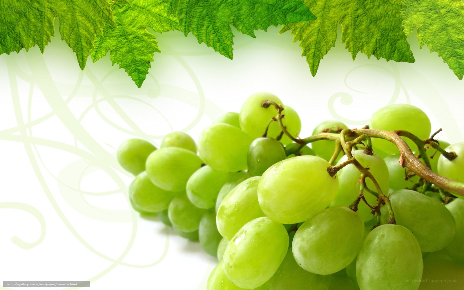 Green grapes and leaves
