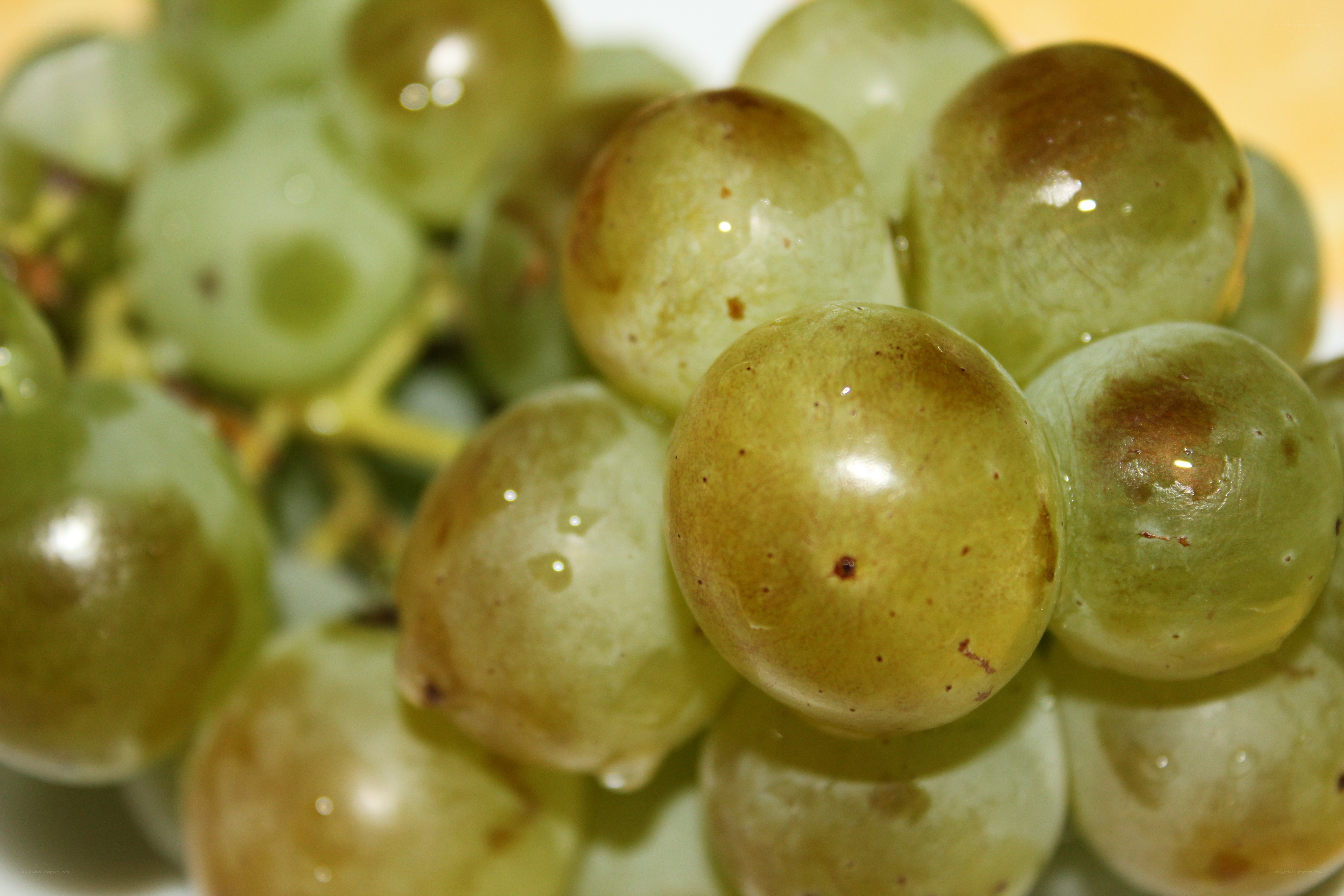 green grapes close-up