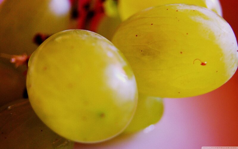 Green Grapes Close-up — Yellow