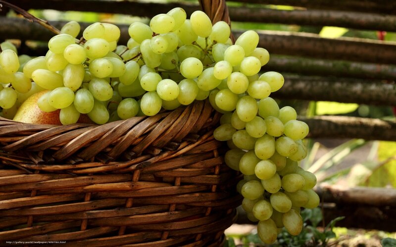 Green Grapes in Basket — Brown