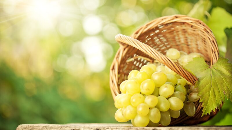 Green Grapes in Basket — Serene, Afternoon