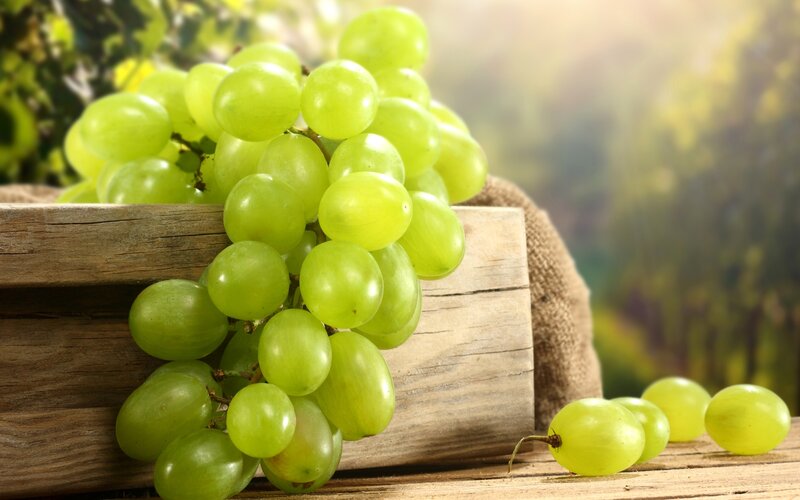 Green Grapes in Basket — Serene