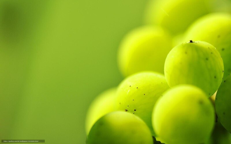 Green Grapes in Cluster