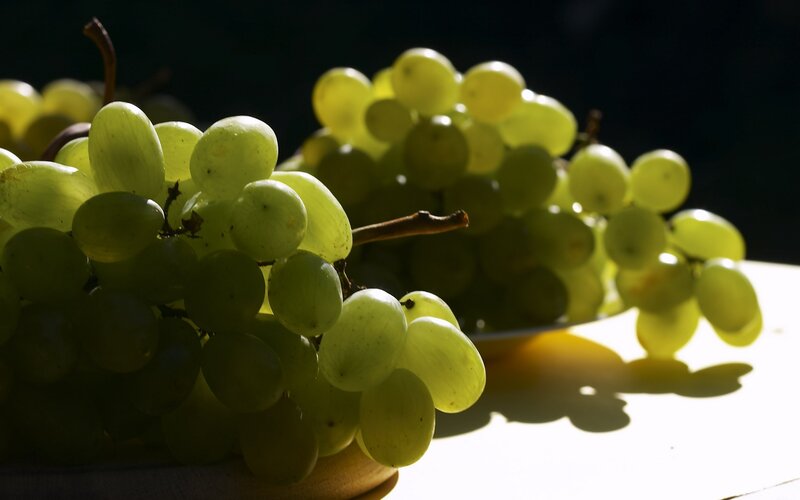 green grapes in sunlight