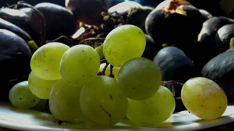 Green Grapes on Plate — Dramatic