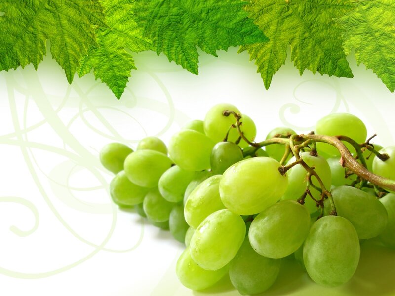Green Grapes on Vine — Fresh, Photograph, Leaves