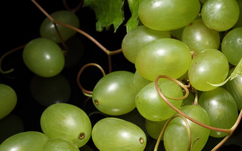 Green Grapes on Vine — Natural, Photograph