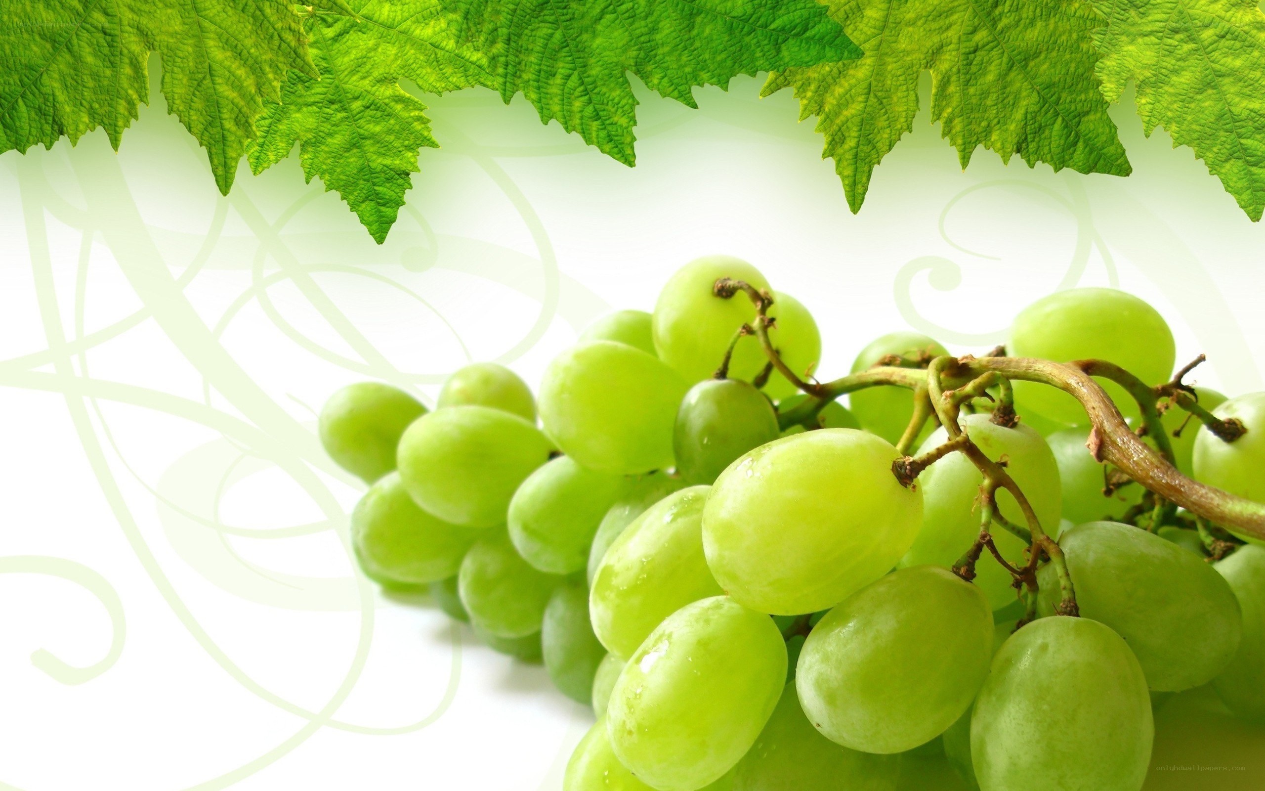 green grapes with leaves