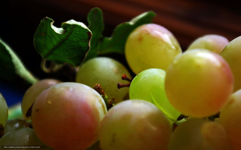 Green Grapes with Leaves — Natural