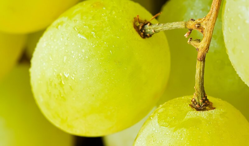 Green Grapes with Water Droplets — Yellow