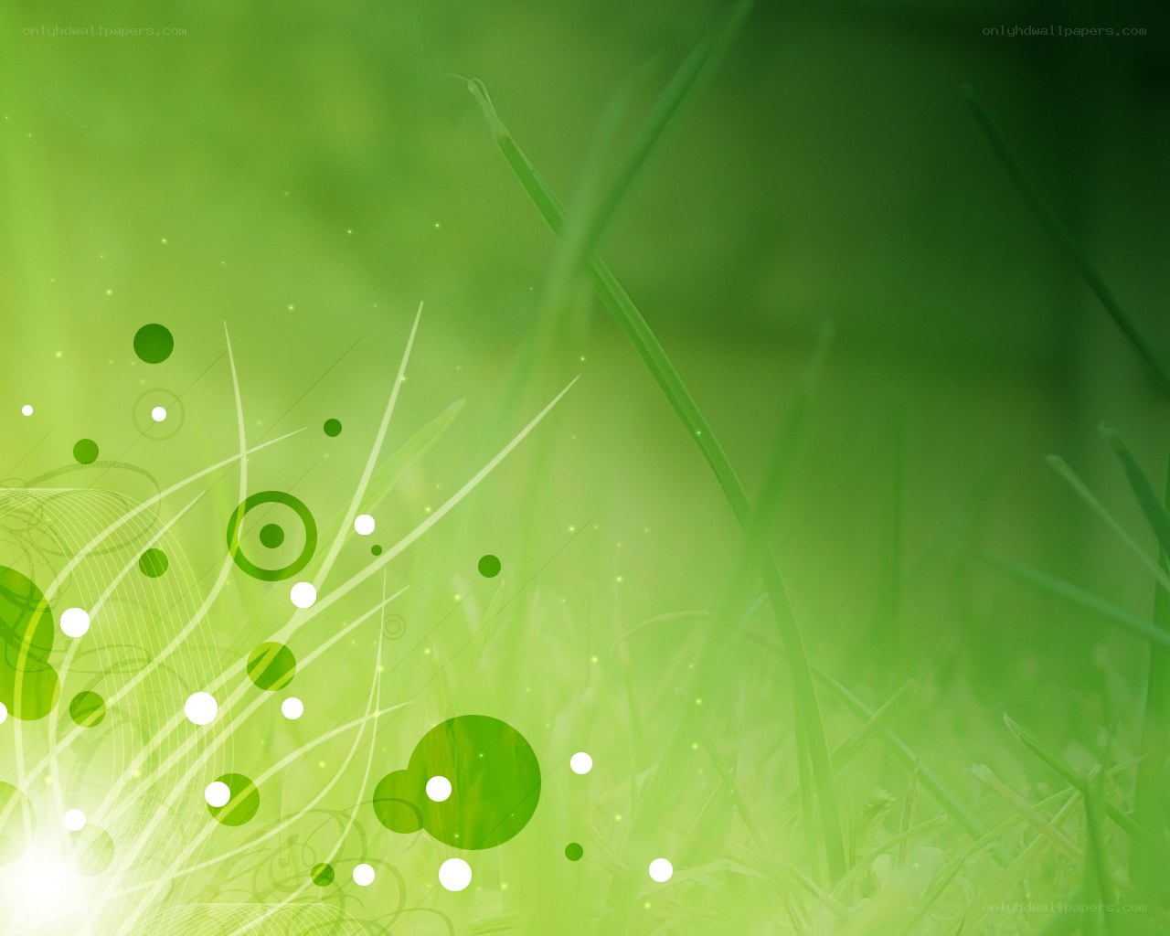 green grass abstract background